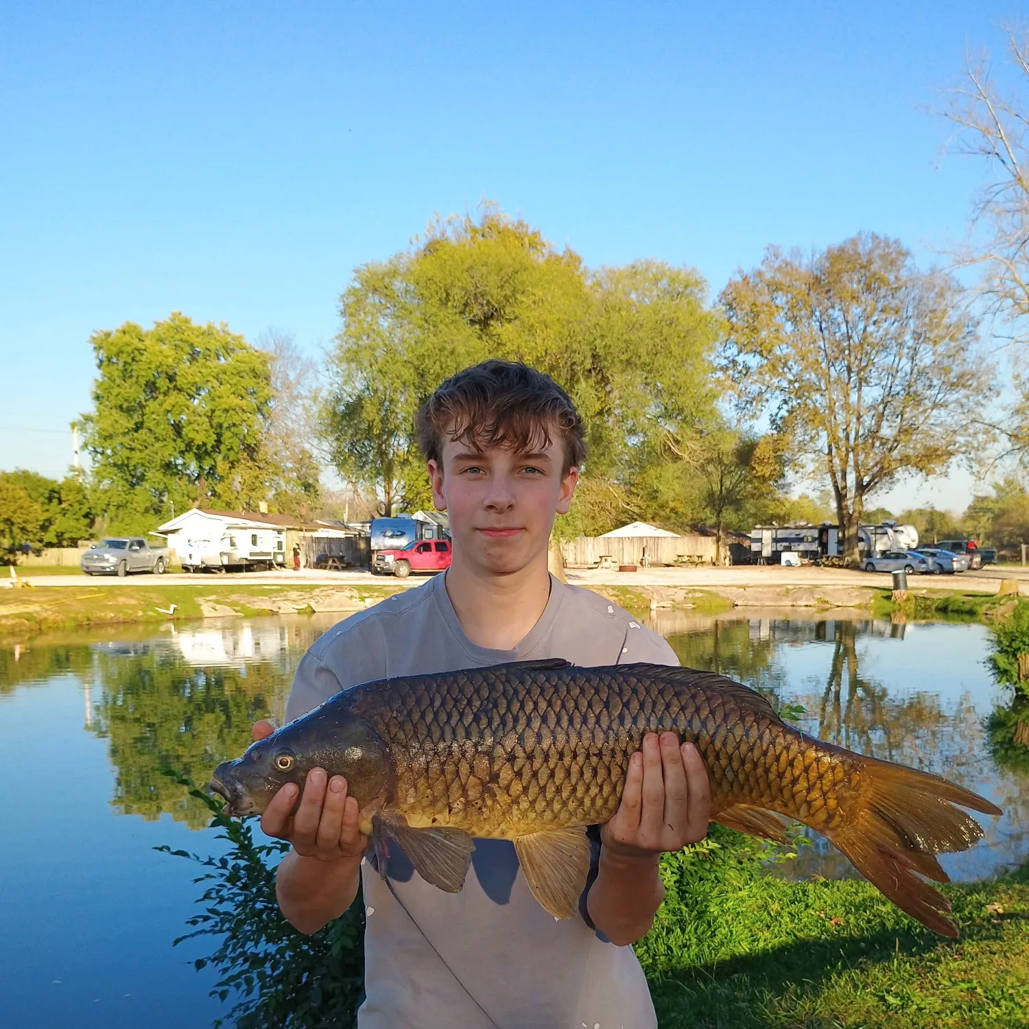 Common carp caught on Fishbrain