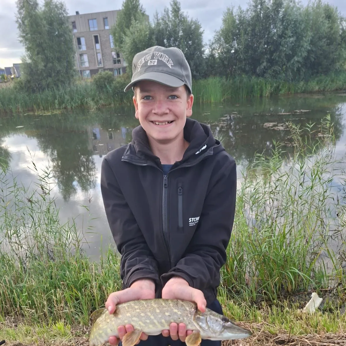 Northern pike caught on Fishbrain