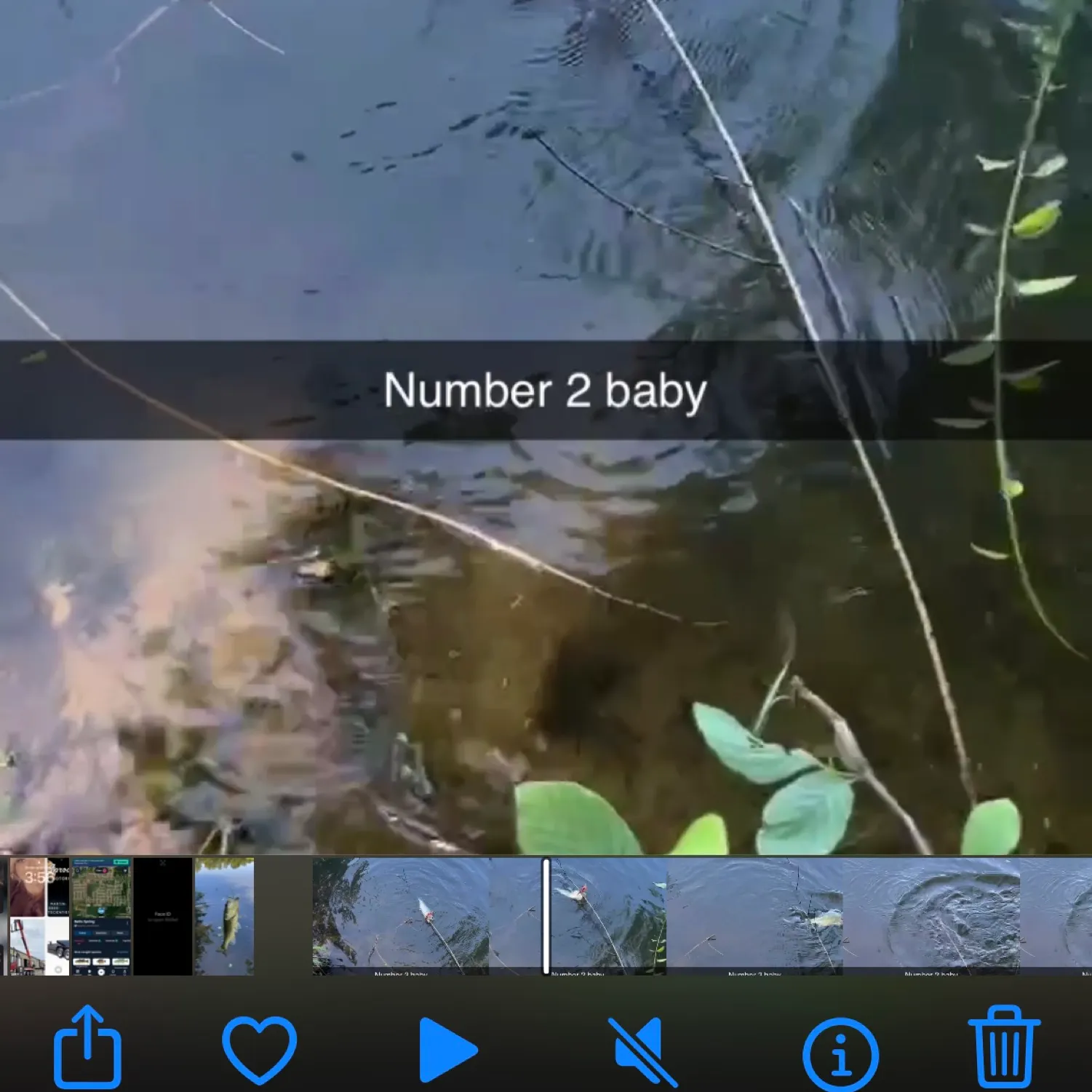 recently logged catches