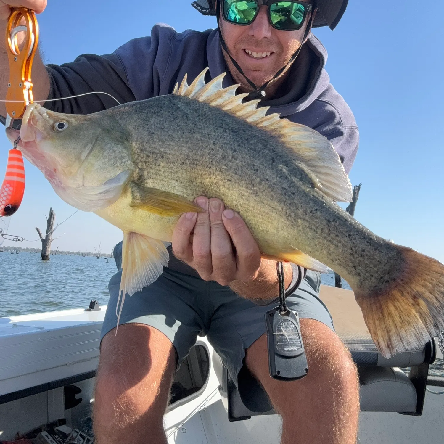 angler catch