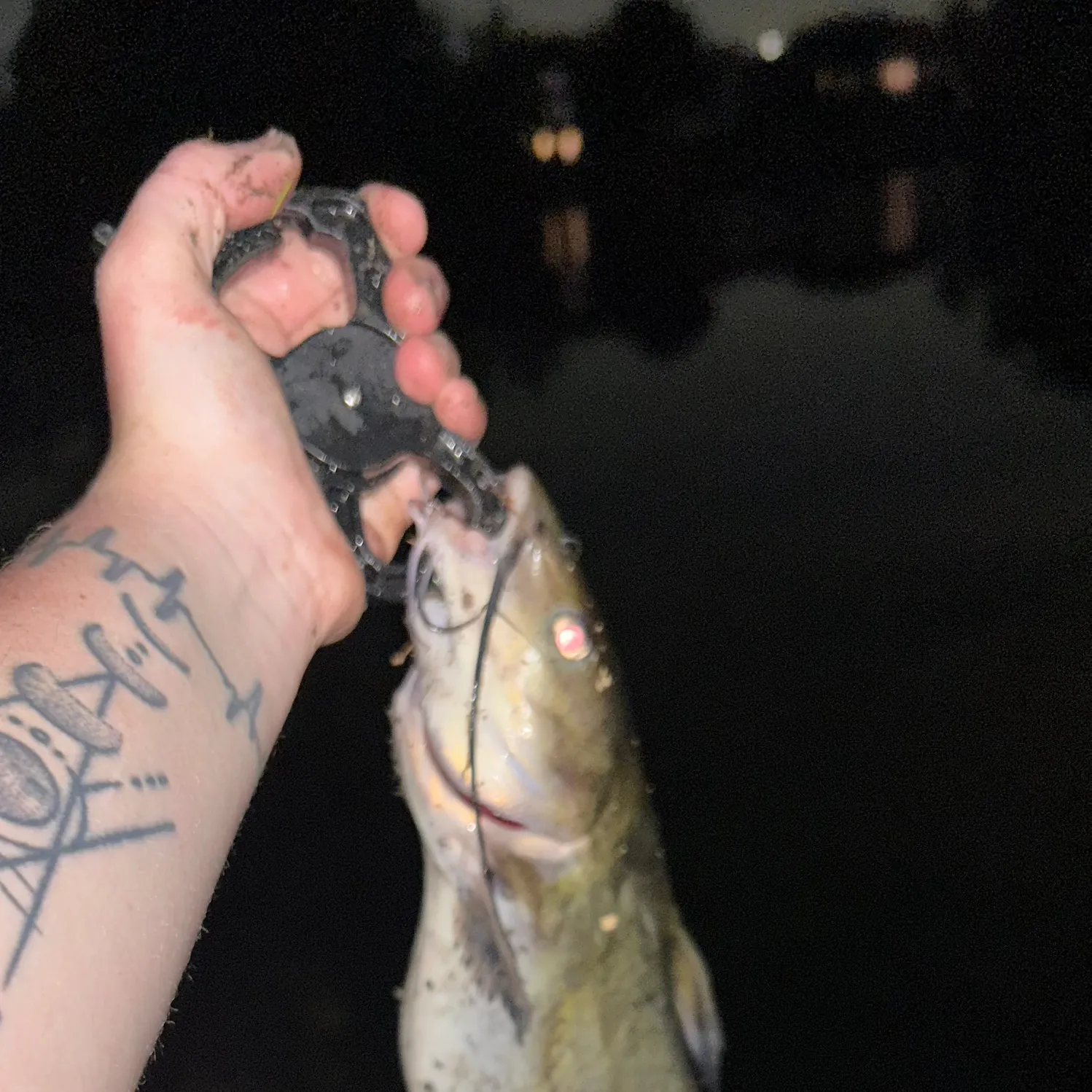 catch