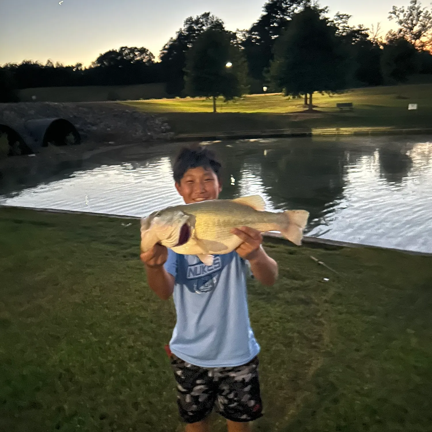 Largemouth bass caught on Fishbrain