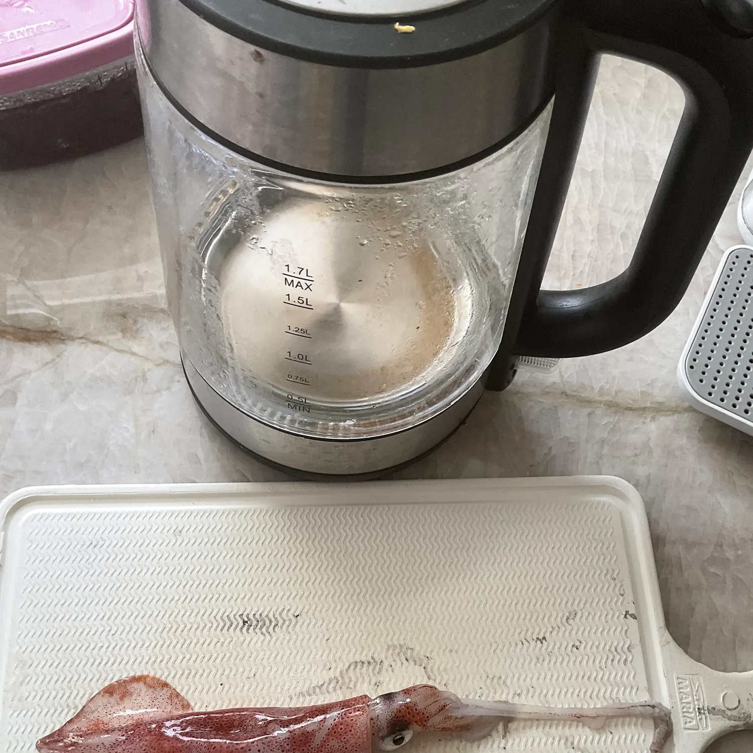 The most recent Gould's squid catches on Fishbrain