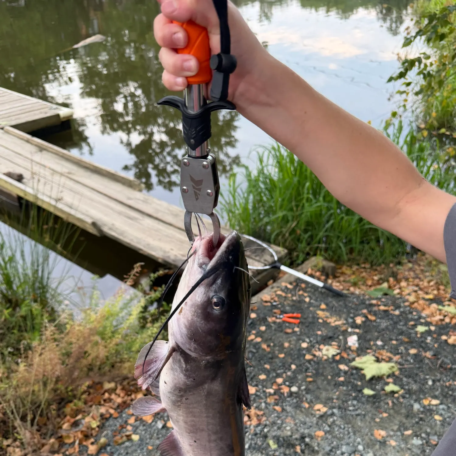 catch