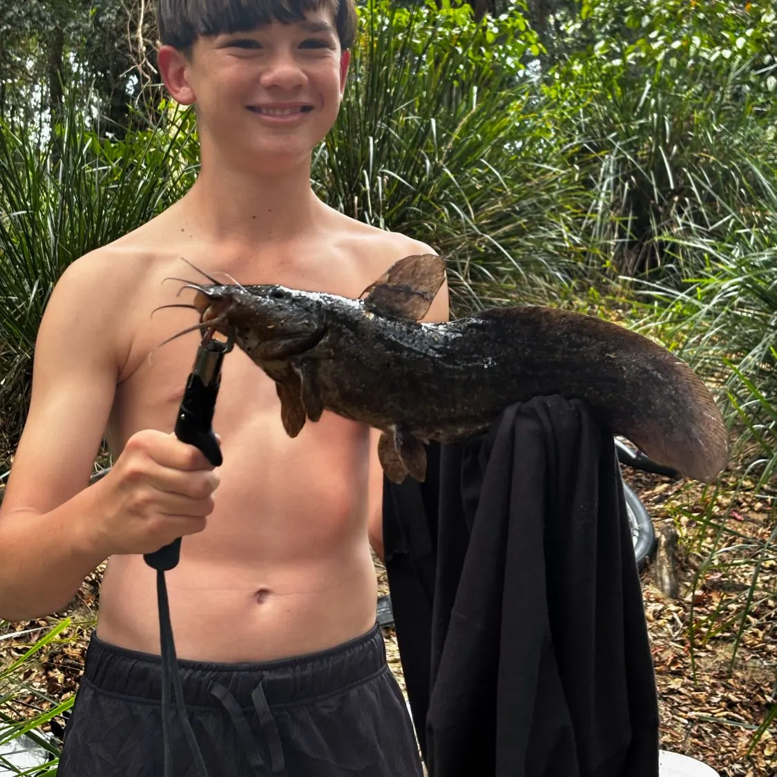 Dewfish caught on Fishbrain