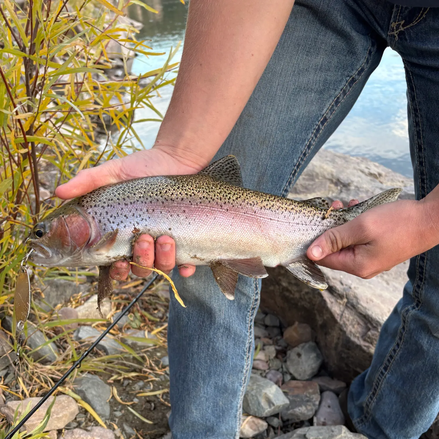 Fish caught on Fishbrain