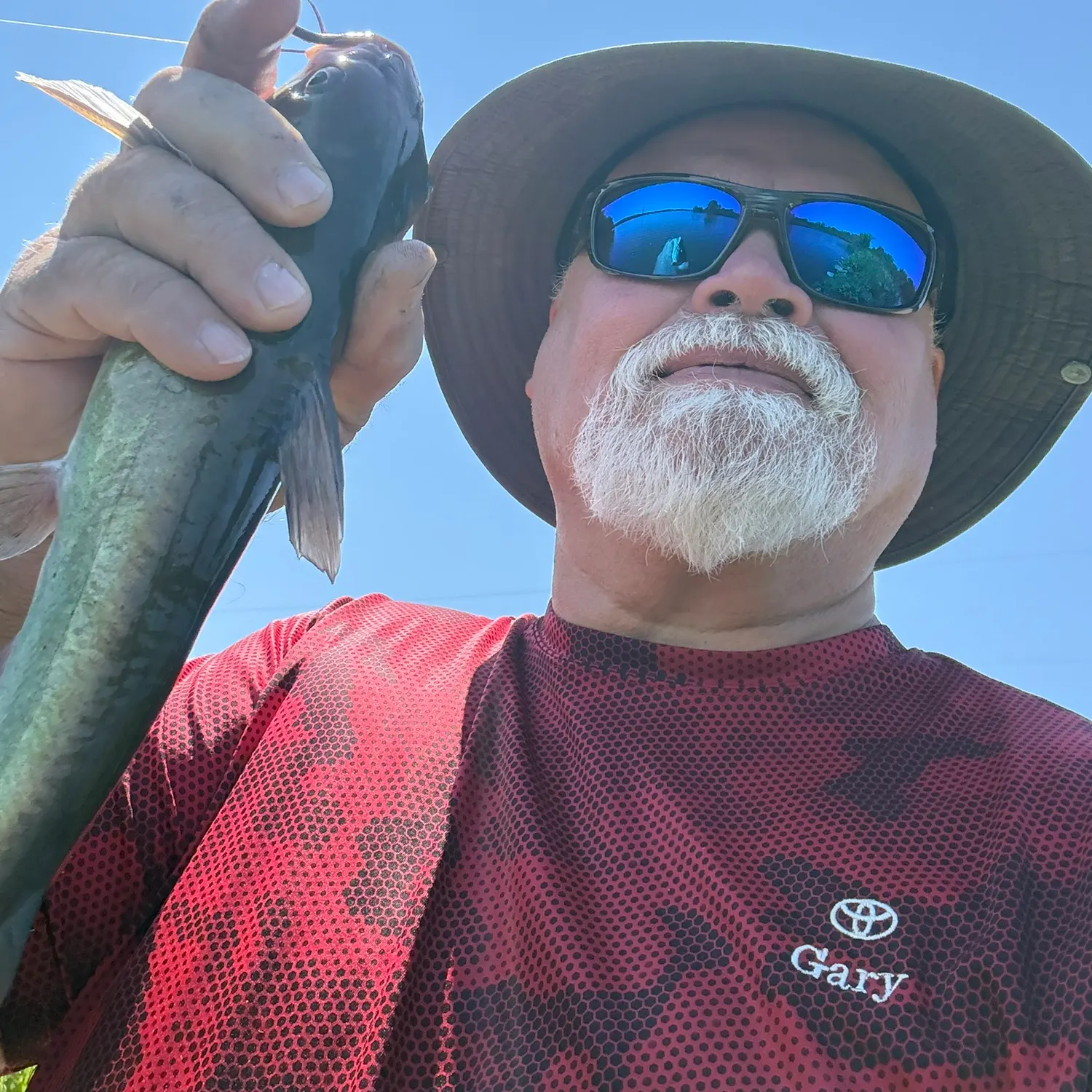 Channel catfish caught on Fishbrain