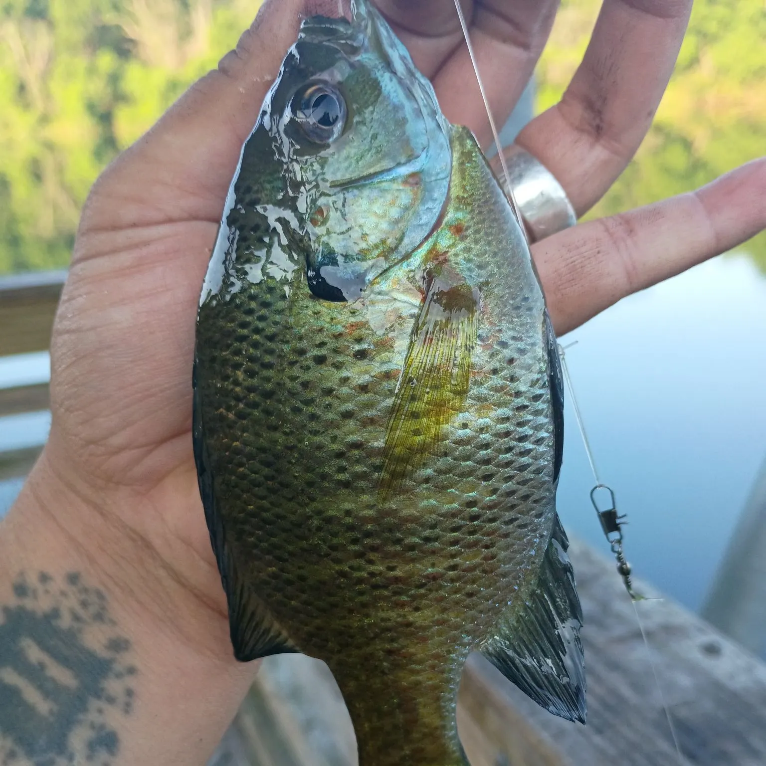catch