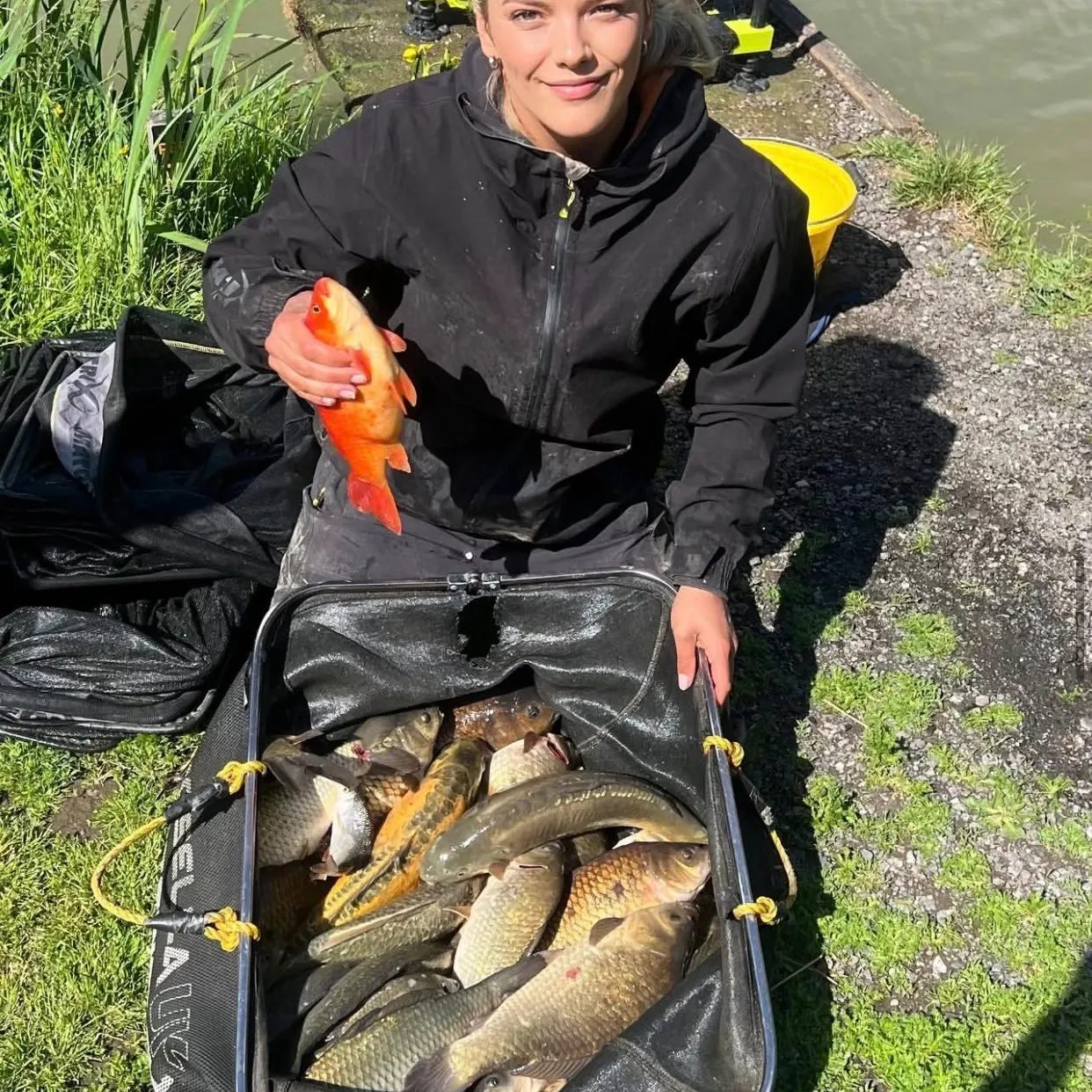 Goldfish caught on Fishbrain