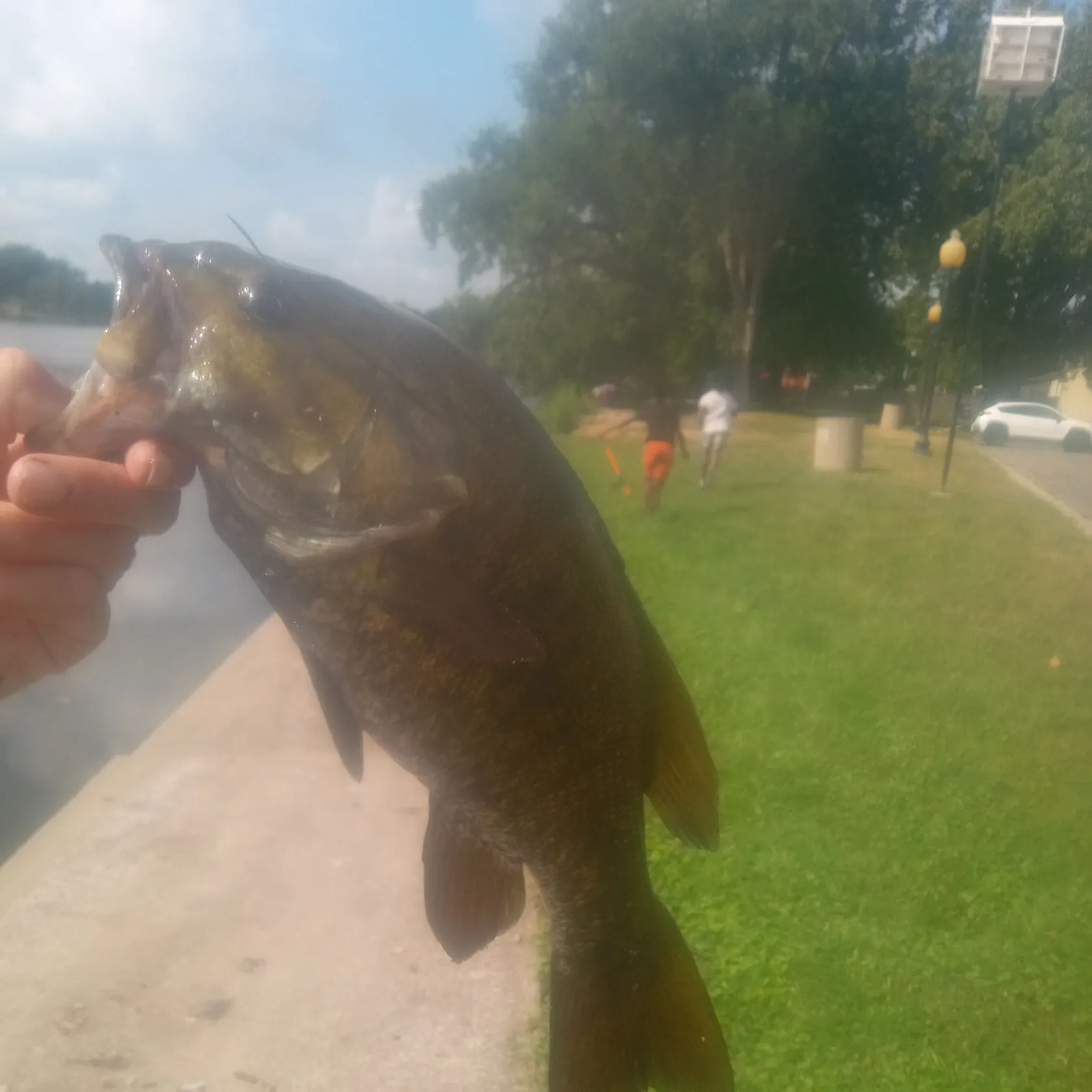 catch