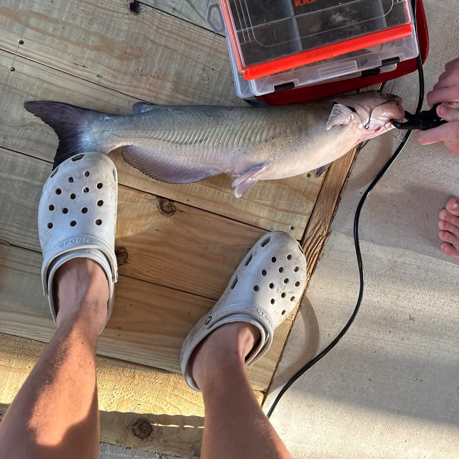catch