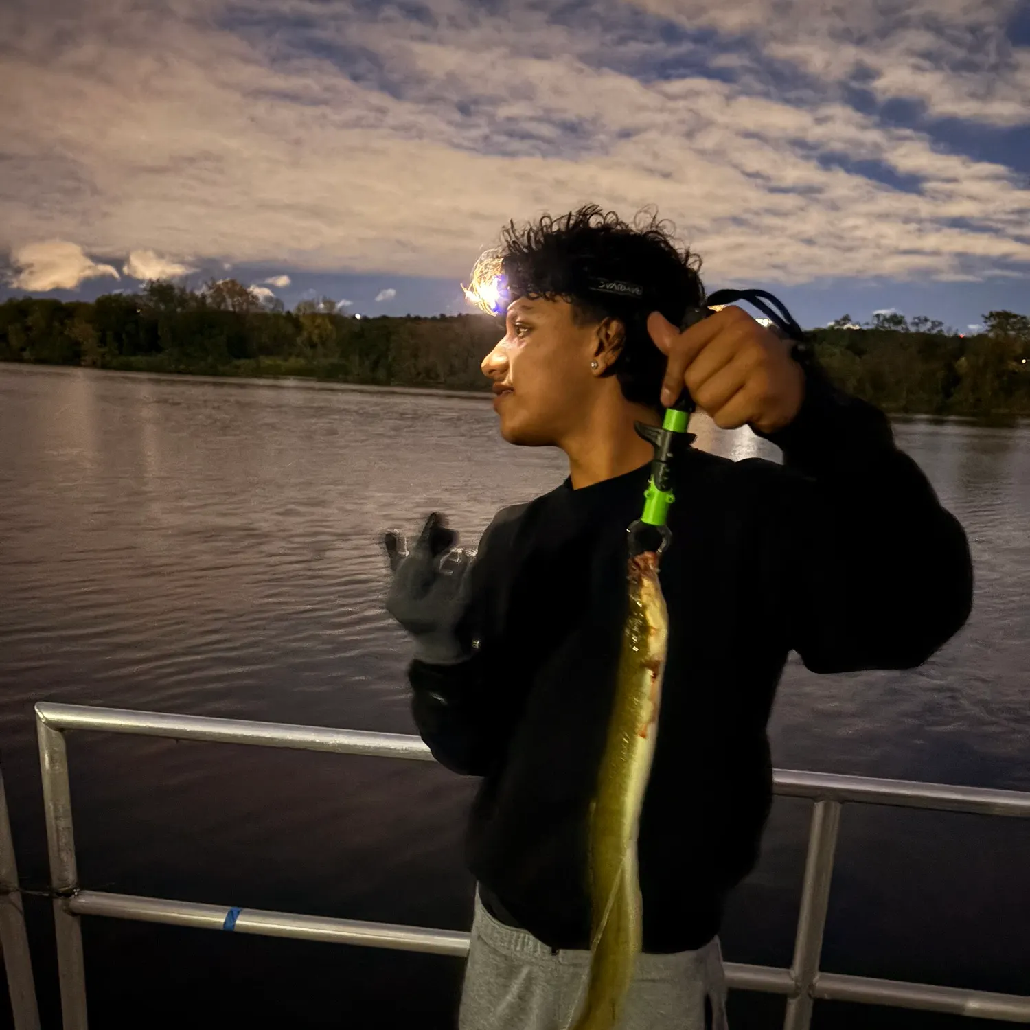 American eel caught on Fishbrain