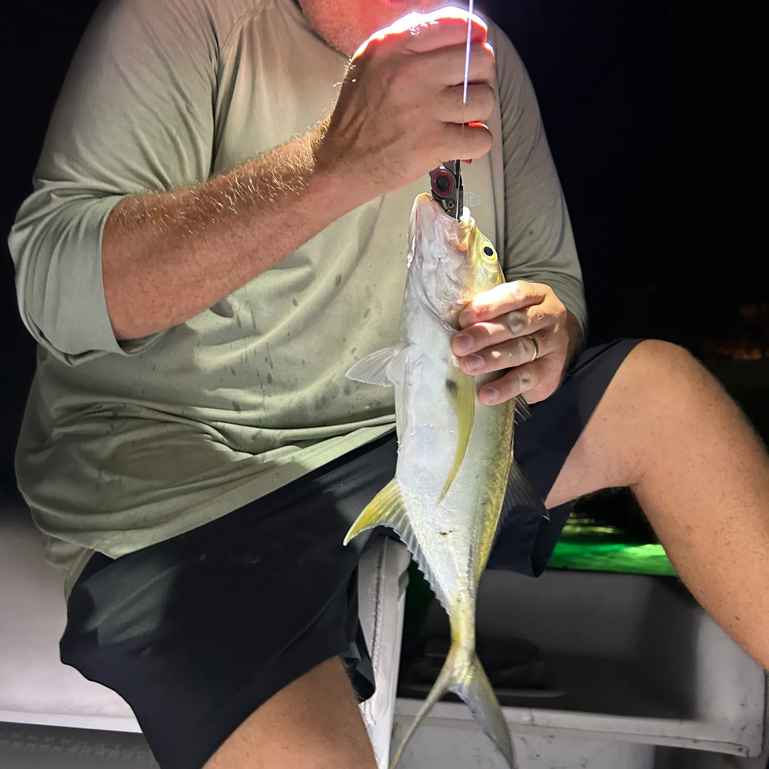 Crevalle jack caught on Fishbrain