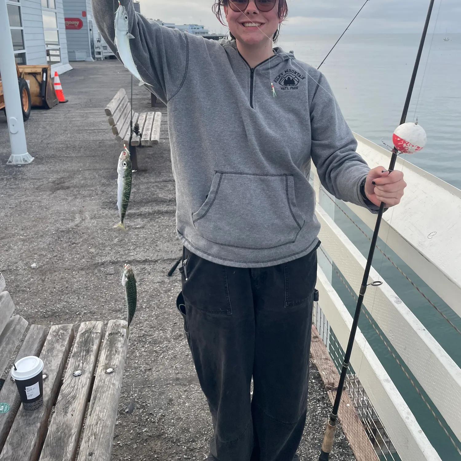 The most recent Pacific chub mackerel catches on Fishbrain