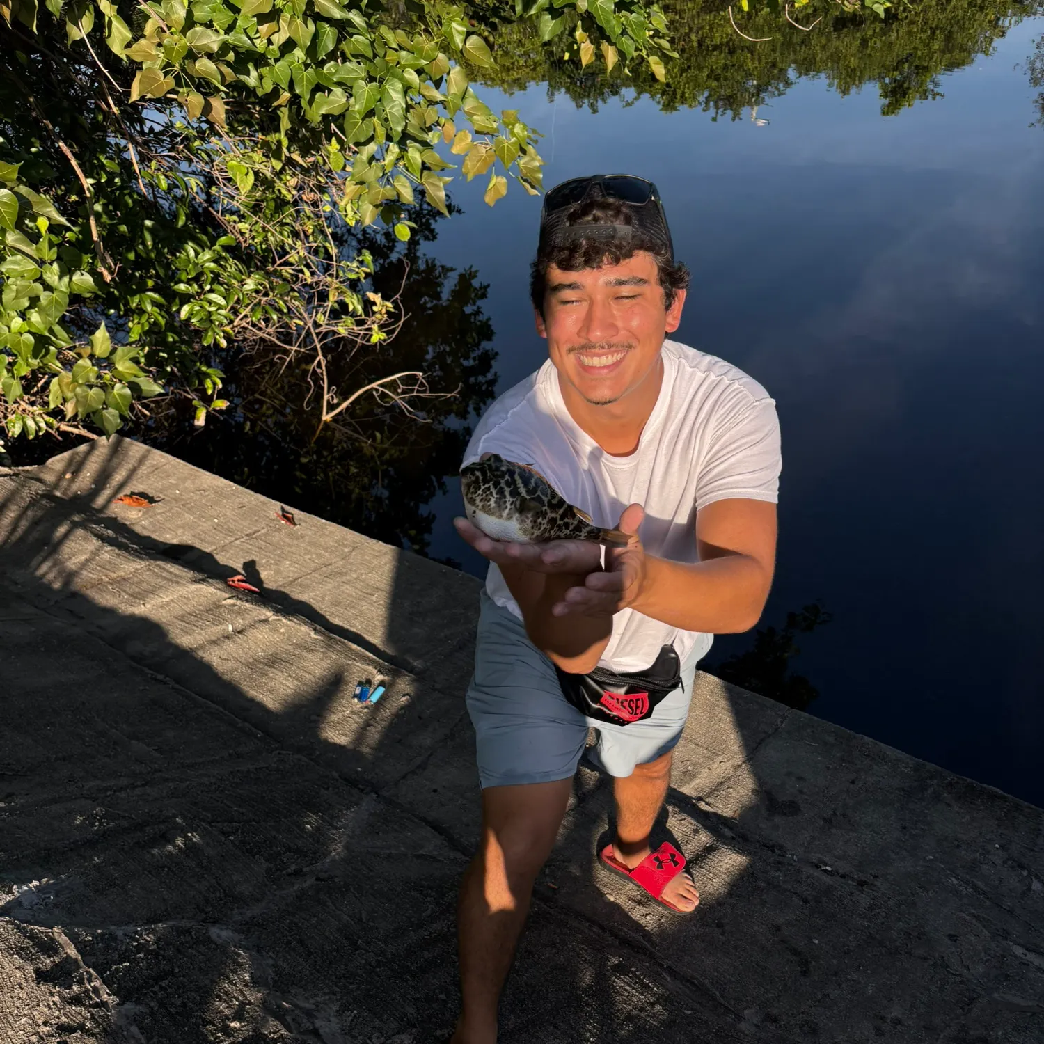 The most recent Southern puffer catches on Fishbrain