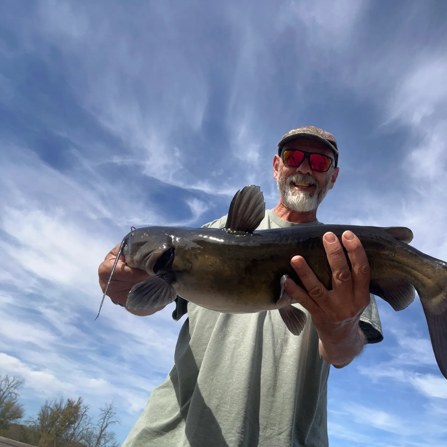 Channel catfish caught on Fishbrain
