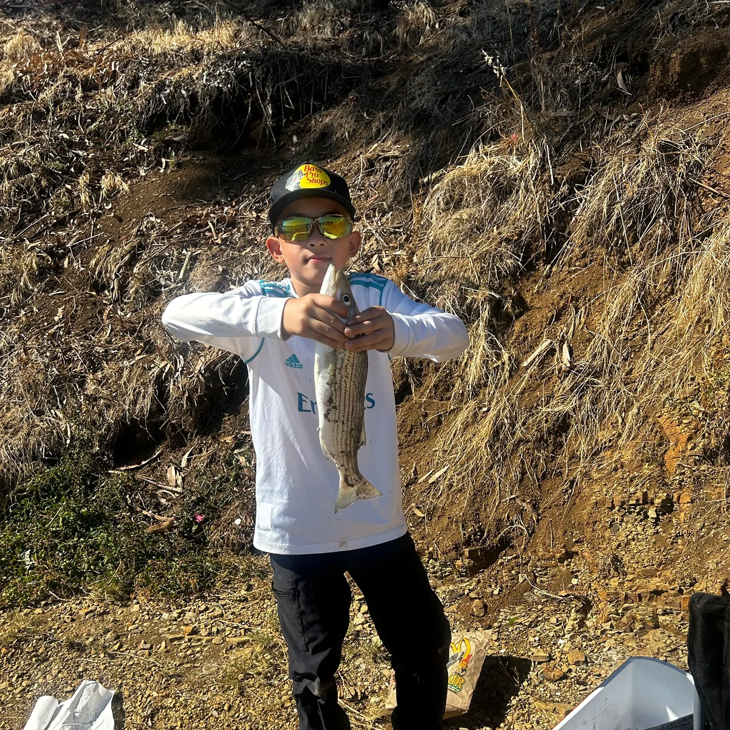 Striped bass caught on Fishbrain