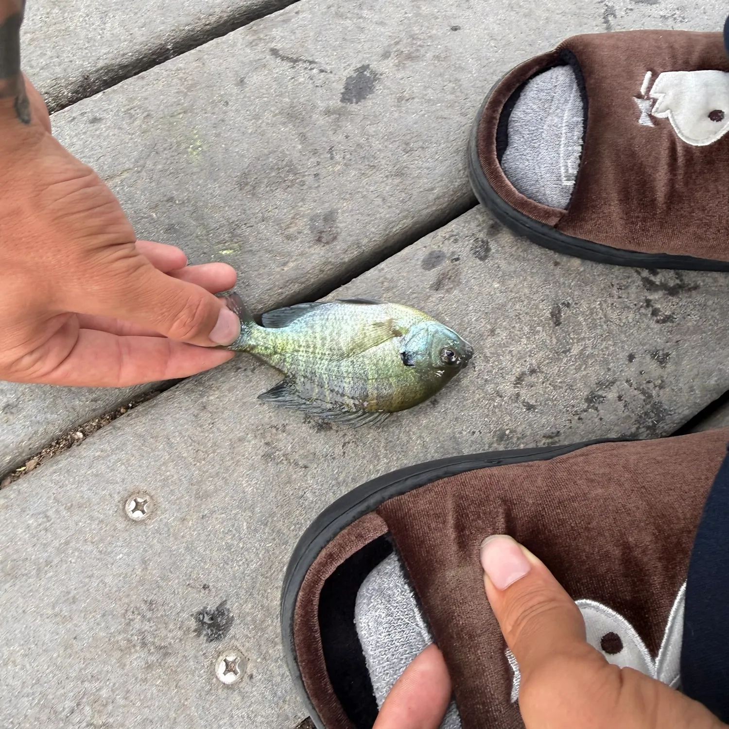 catch