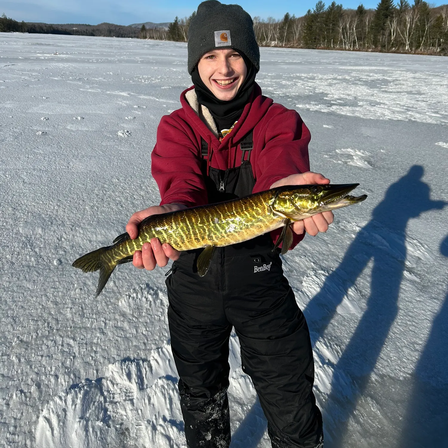 The most recent Tiger muskellunge catches on Fishbrain