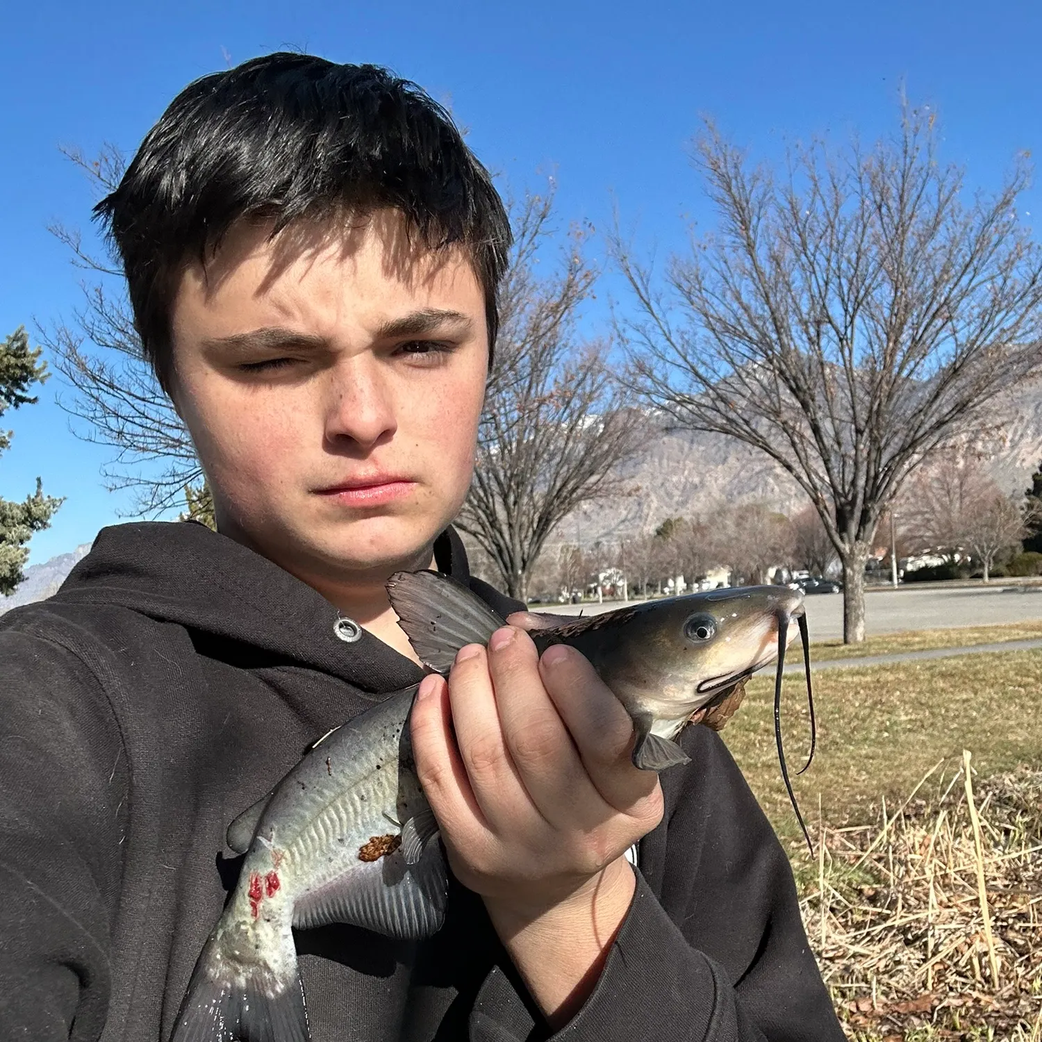 The most recent Channel catfish catches on Fishbrain