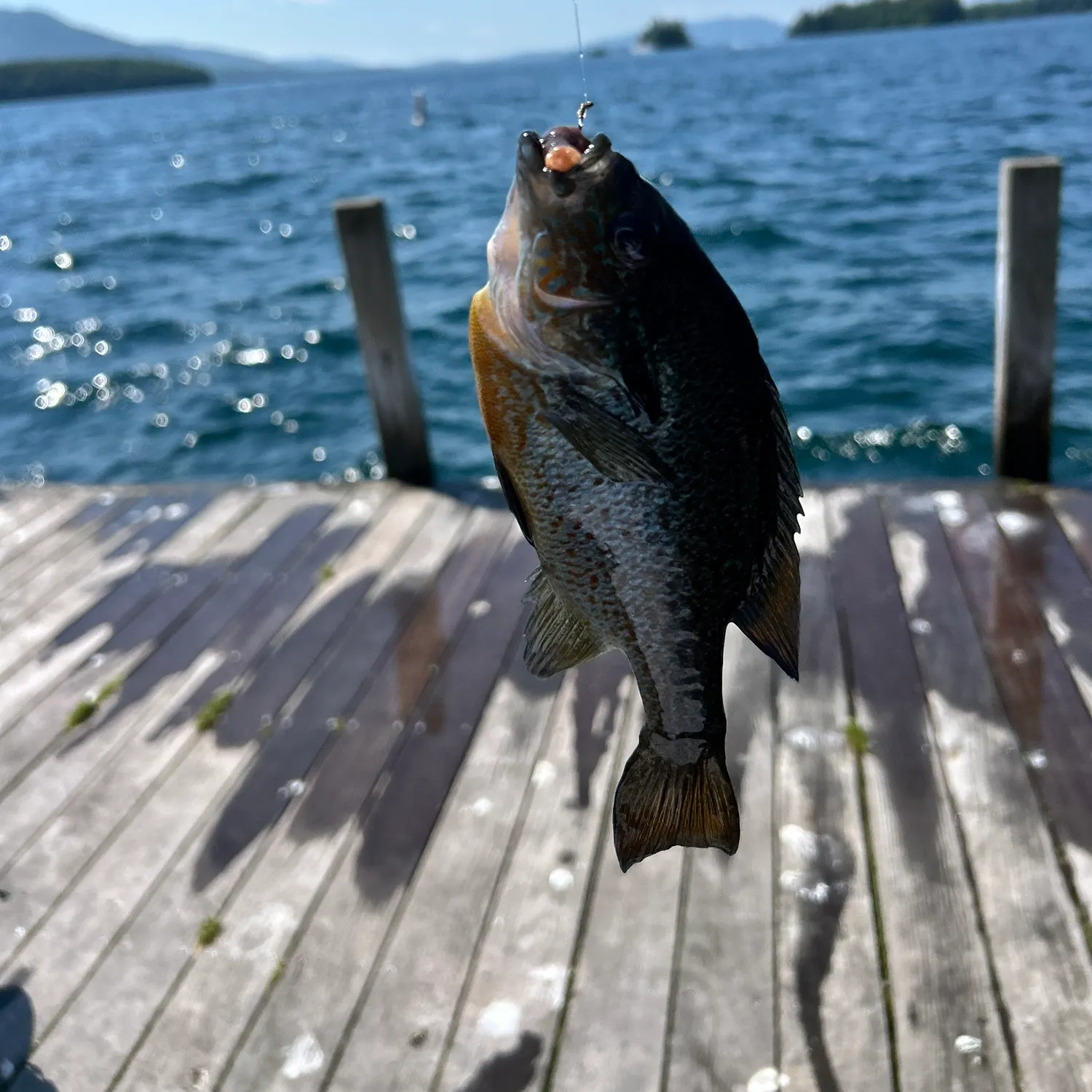 catch