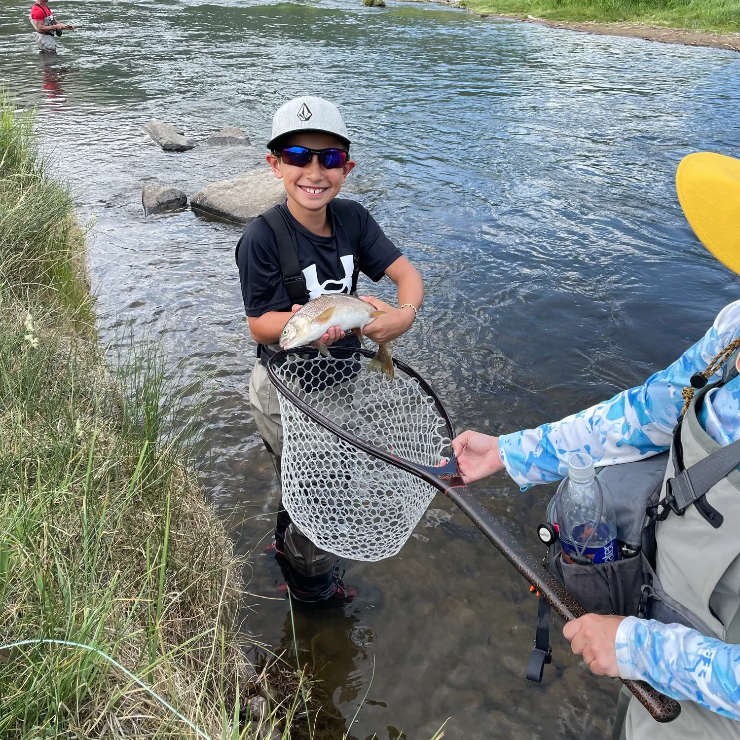 The most recent Mountain whitefish catches on Fishbrain