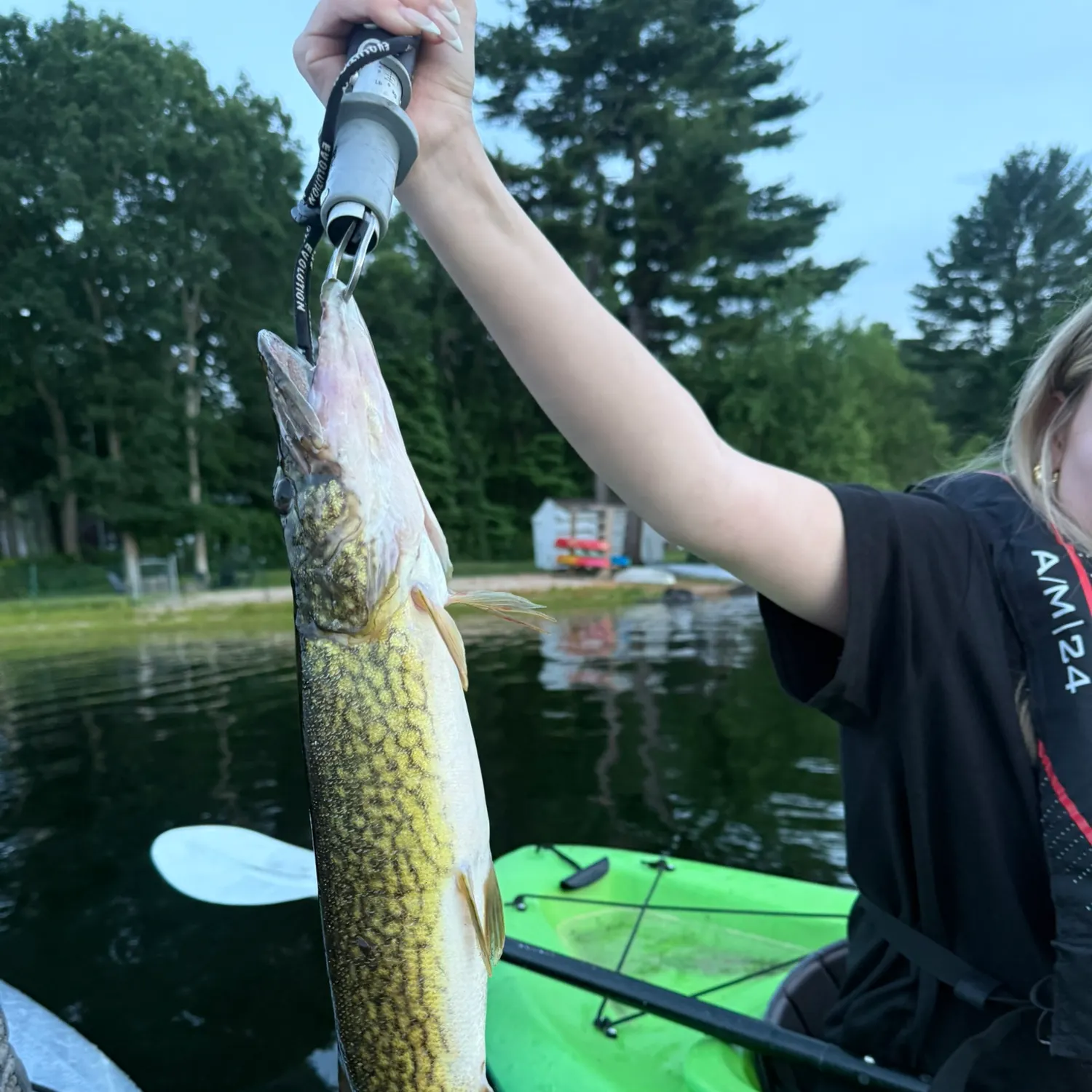 recently logged catches