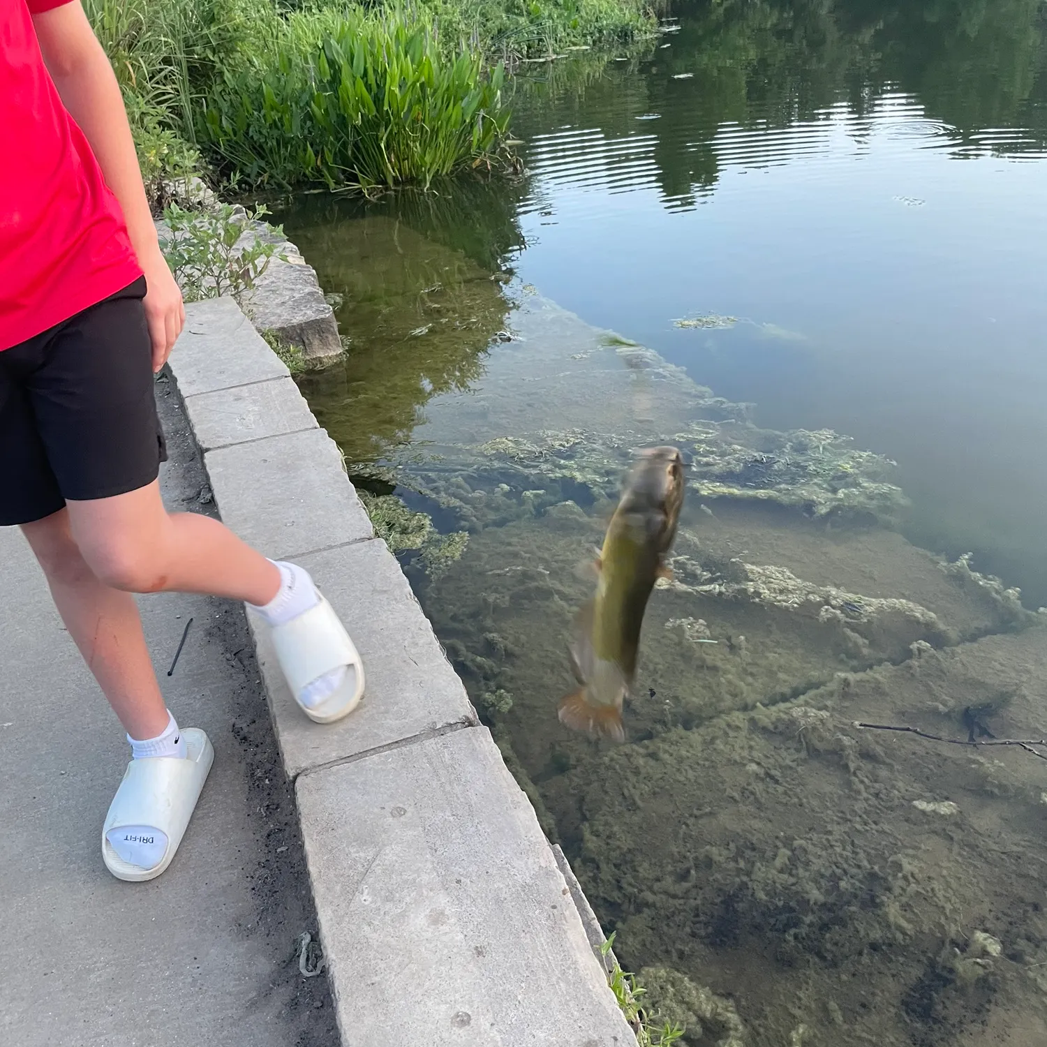 catch