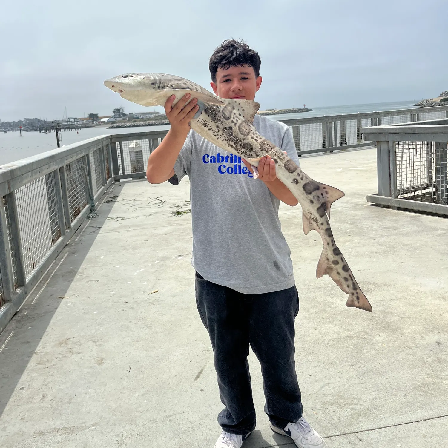 Leopard shark caught on Fishbrain