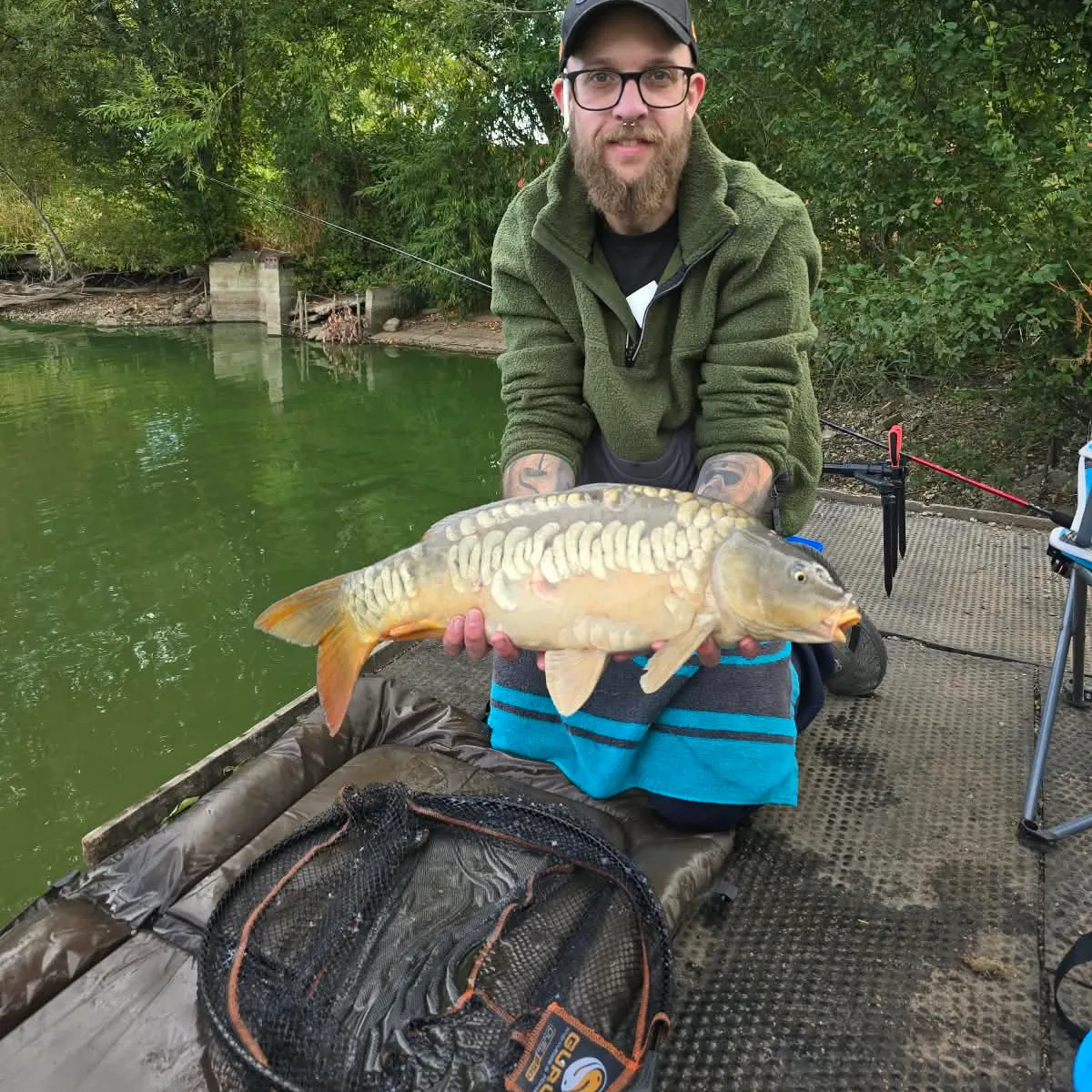 Mirror carp caught on Fishbrain