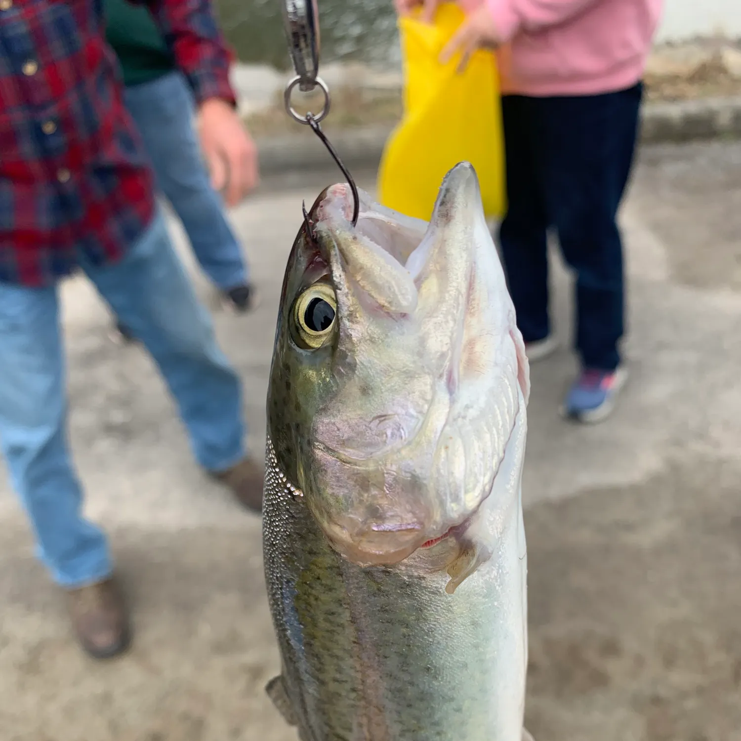 catch