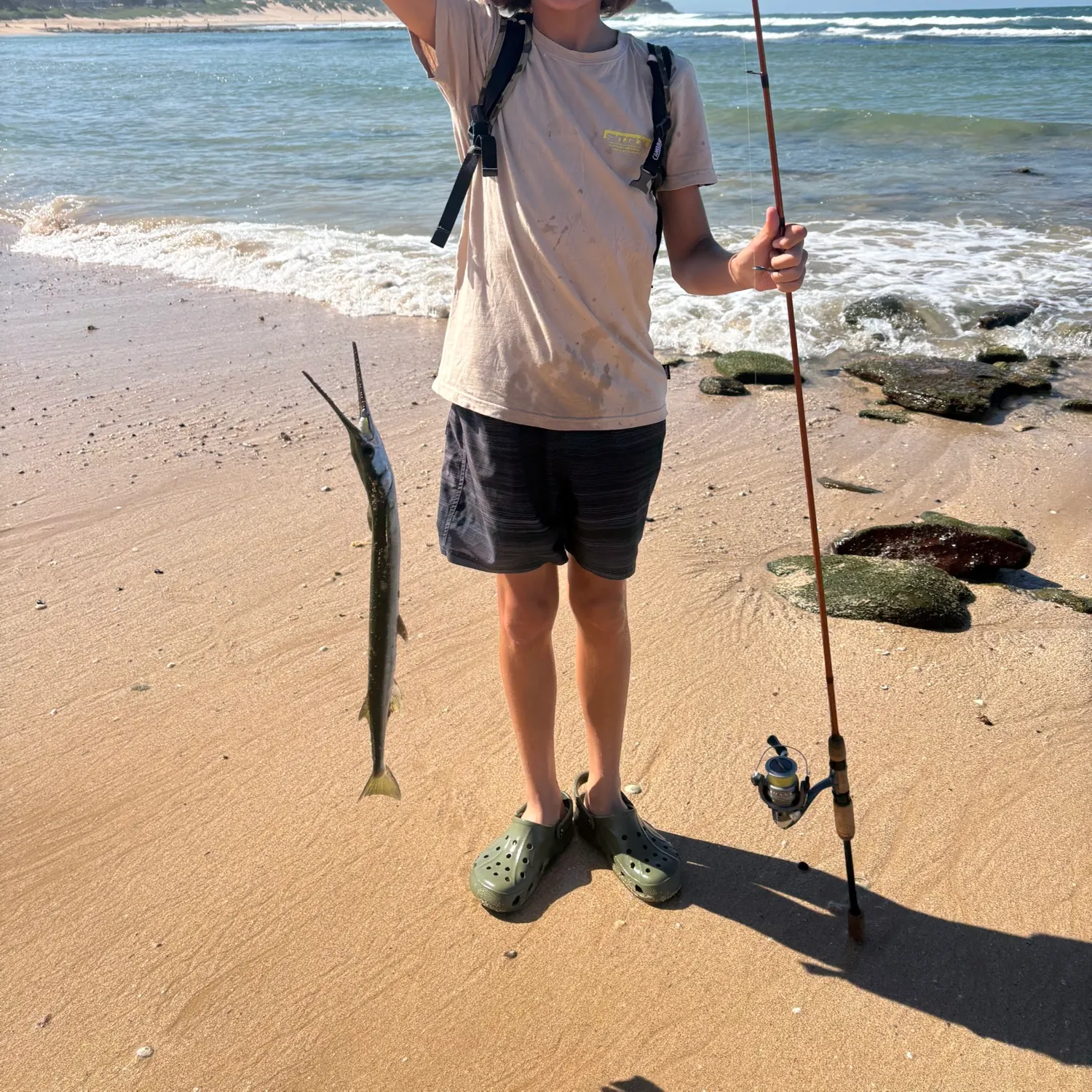 Hound needlefish caught on Fishbrain