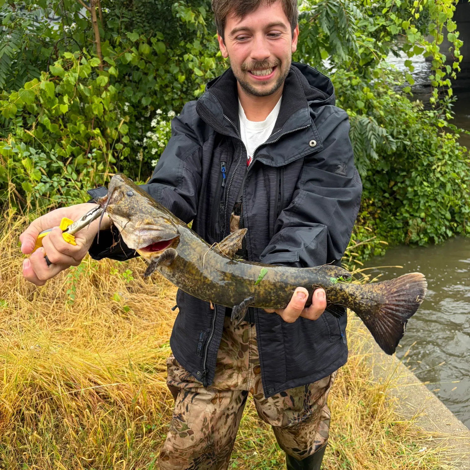 Flathead catfish caught on Fishbrain