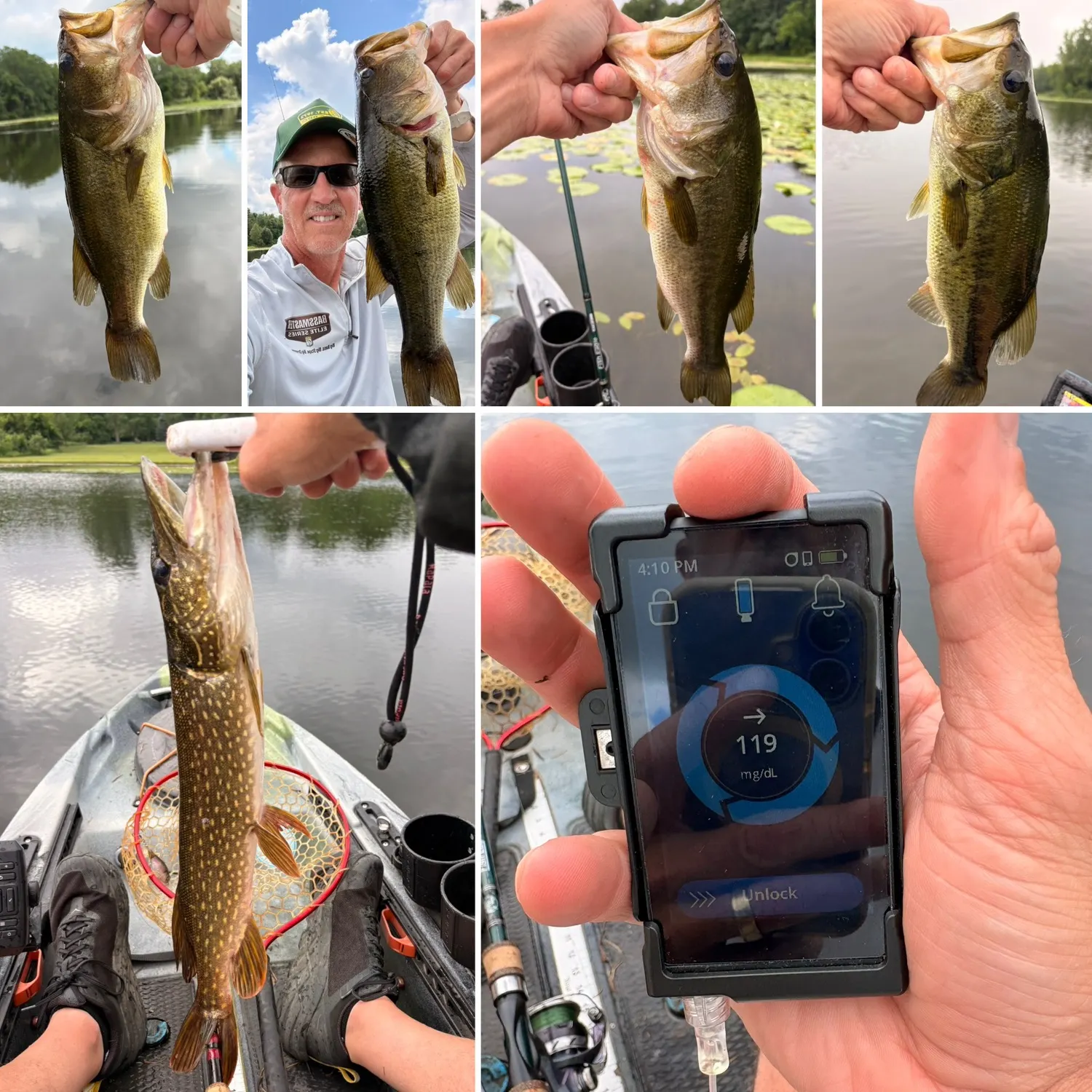 recently logged catches