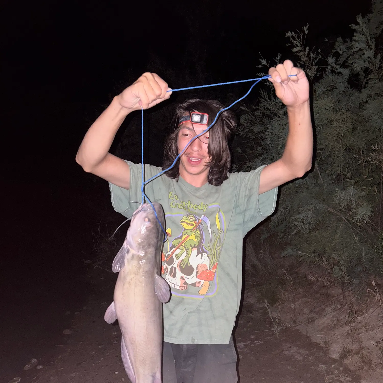 Channel catfish caught on Fishbrain