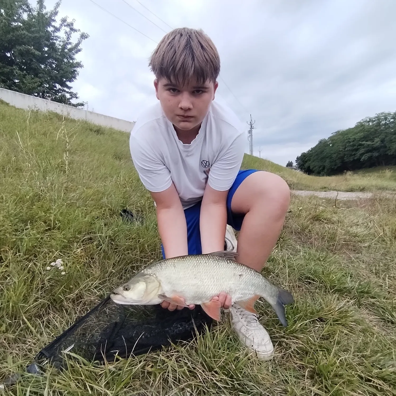 Common carp caught on Fishbrain