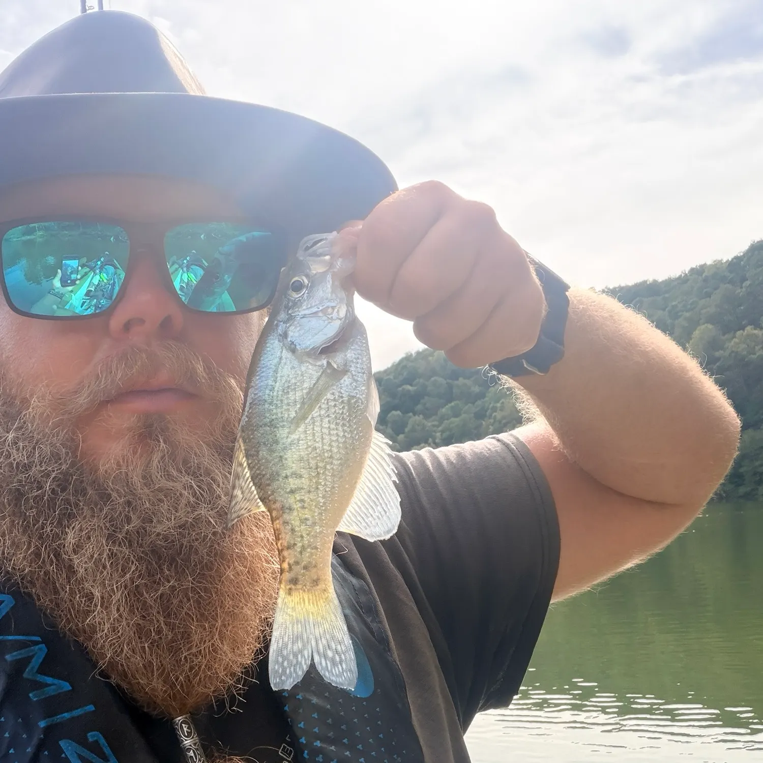 White crappie caught on Fishbrain