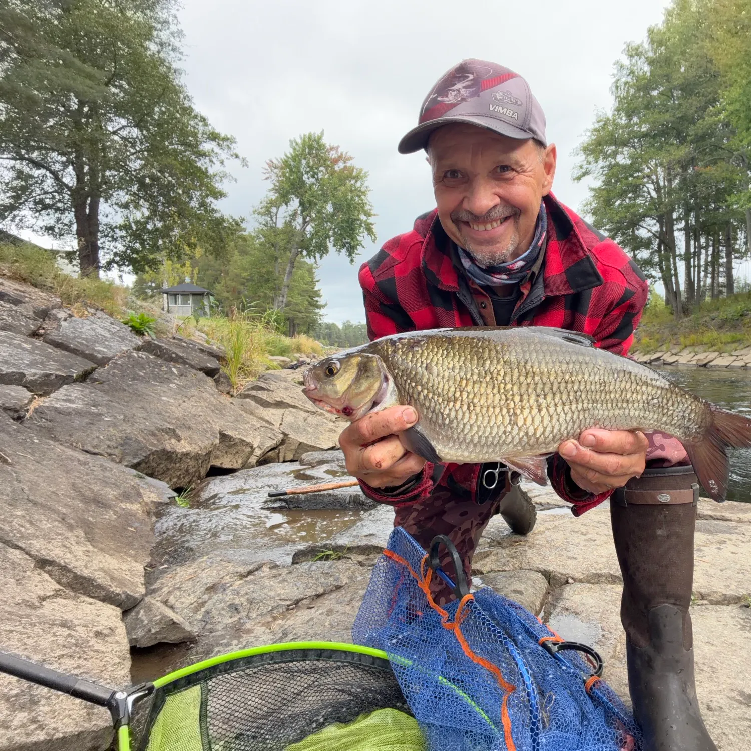 Ide caught on Fishbrain