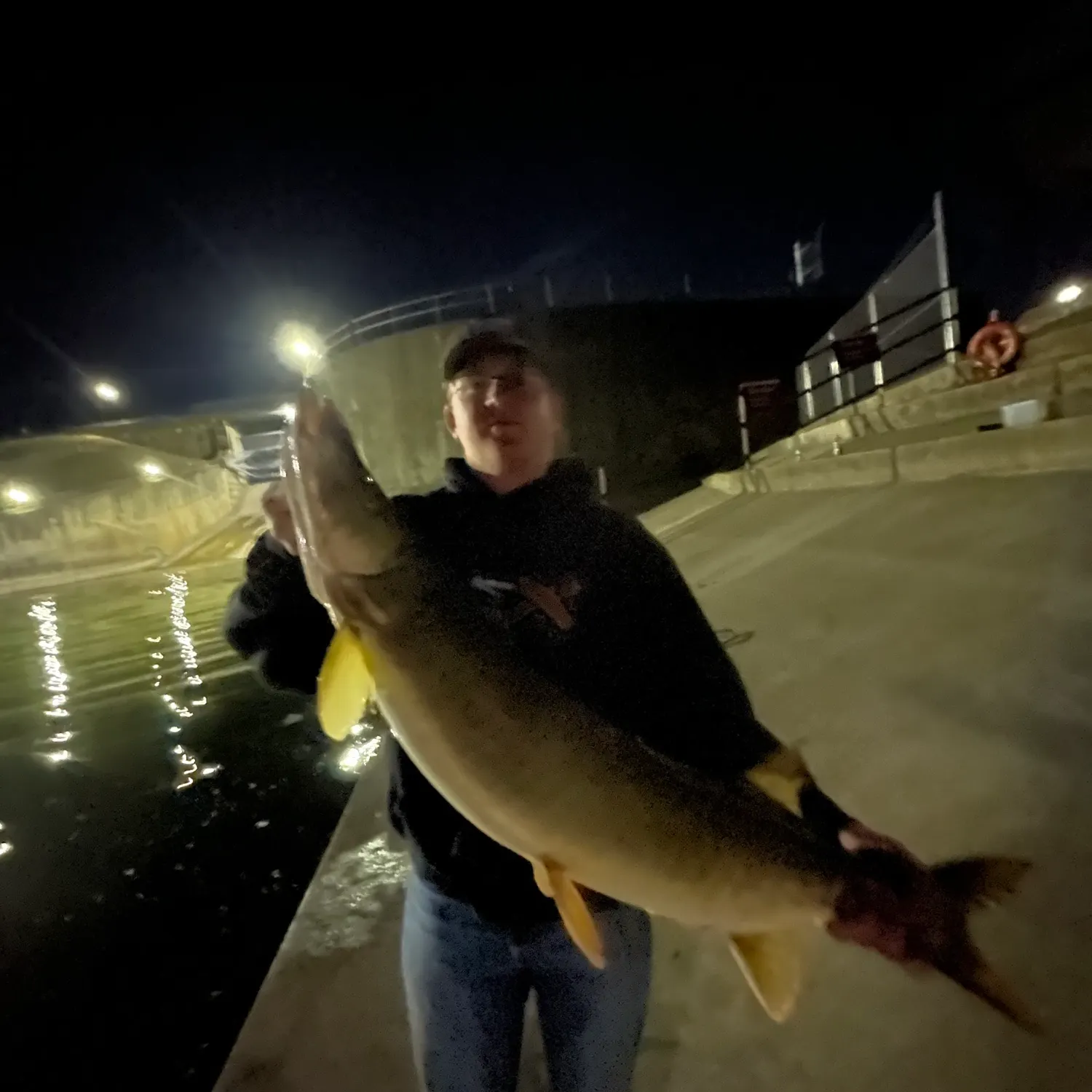 The most recent Muskellunge catches on Fishbrain