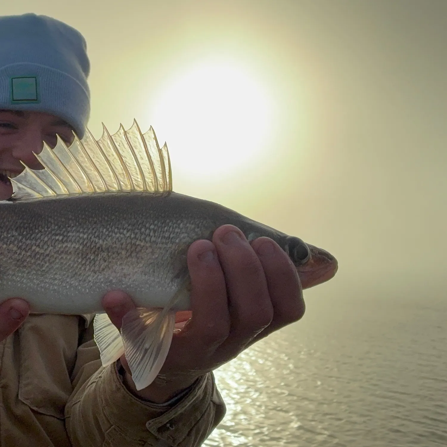 Walleye caught on Fishbrain