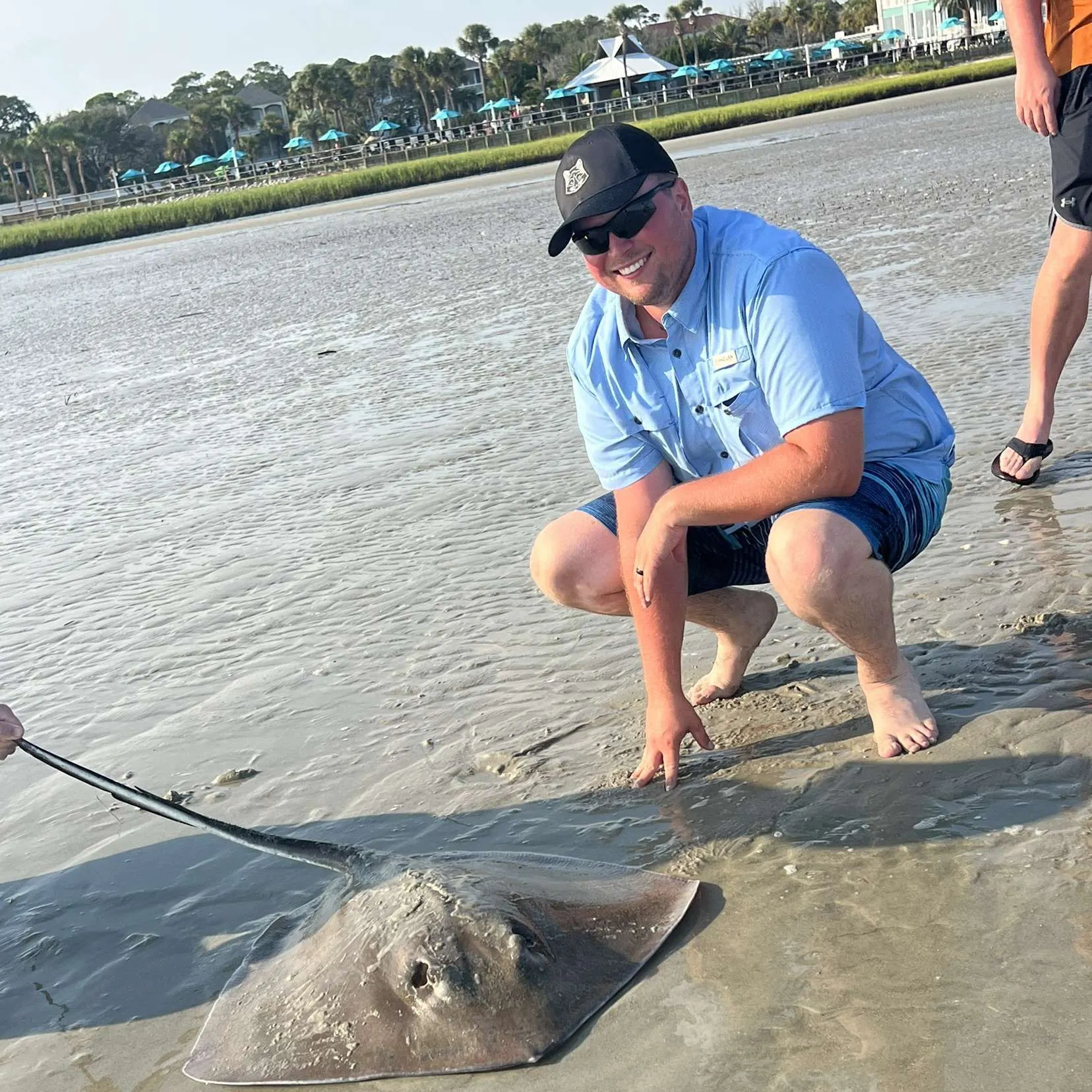 The most recent Southern stingray catches on Fishbrain