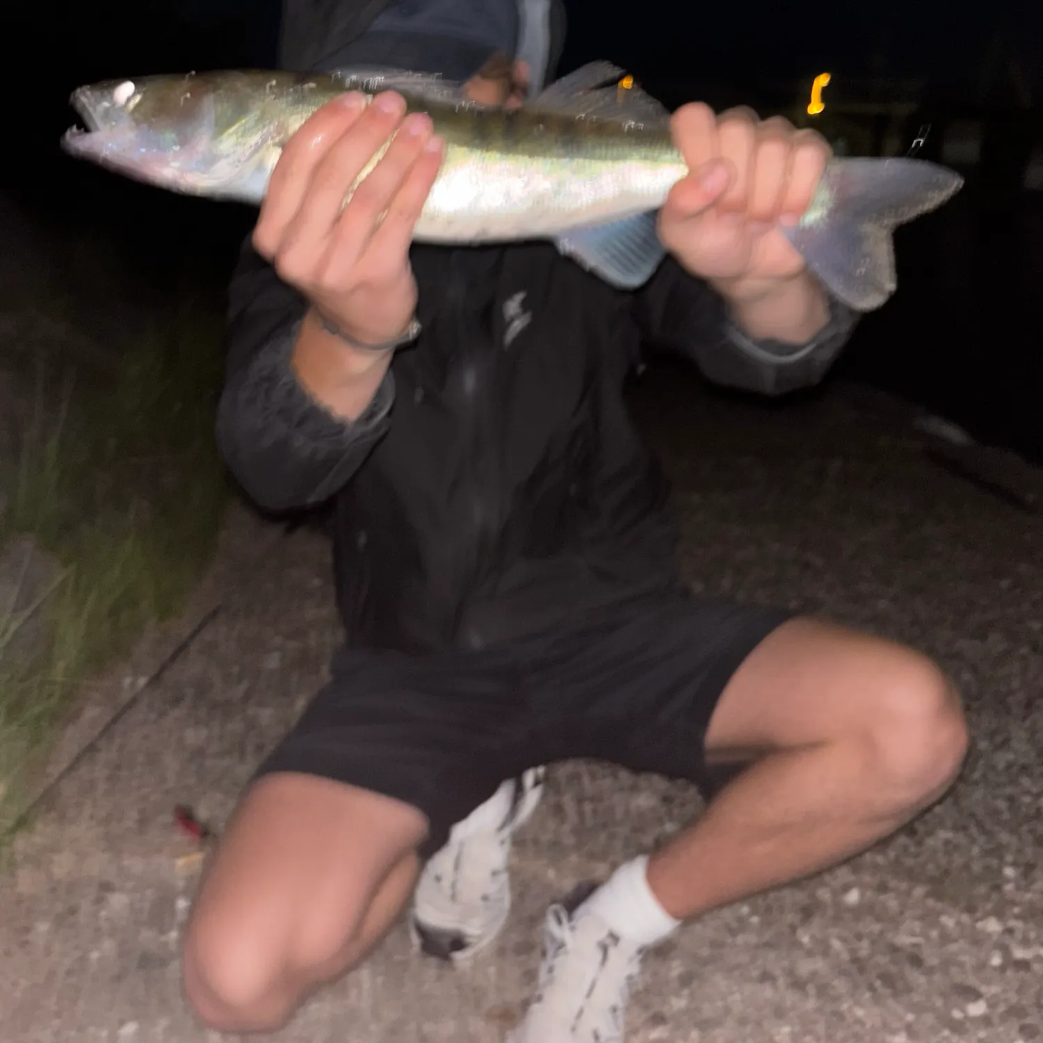 Zander caught on Fishbrain