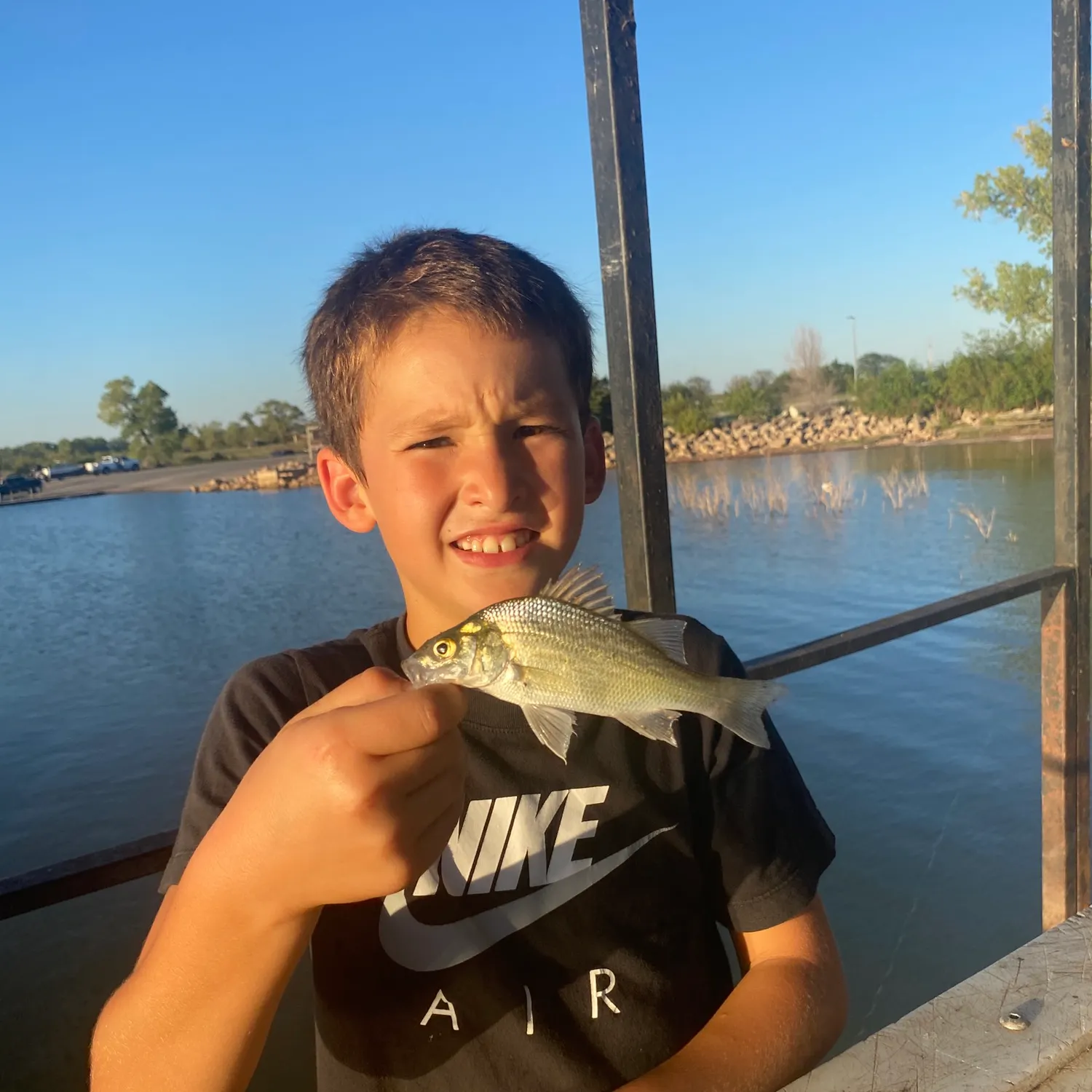 White bass caught on Fishbrain