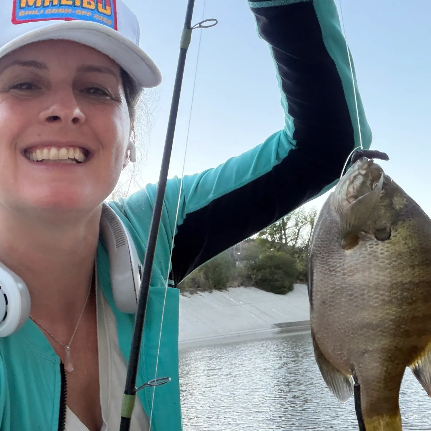 Bluegill caught on Fishbrain