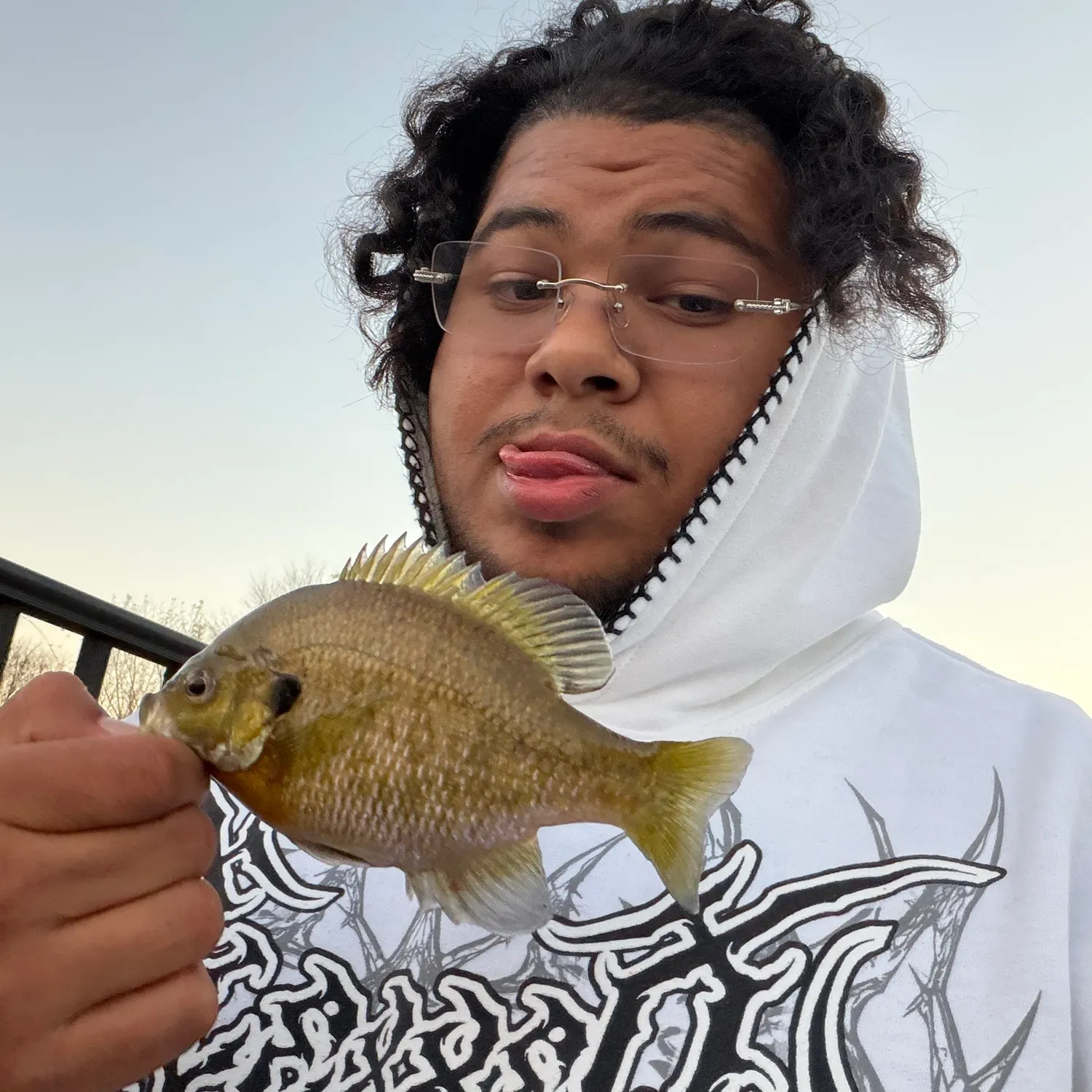 Bluegill caught on Fishbrain