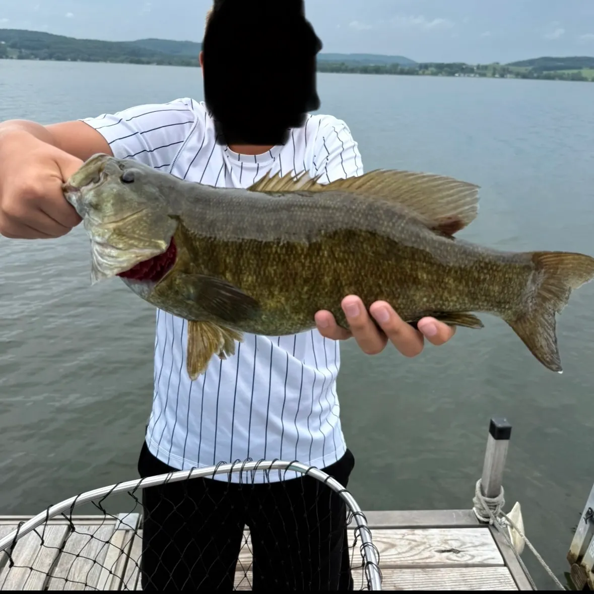 Smallmouth bass caught on Fishbrain