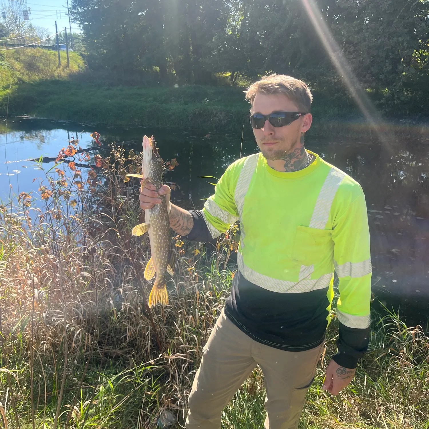 Northern pike caught on Fishbrain