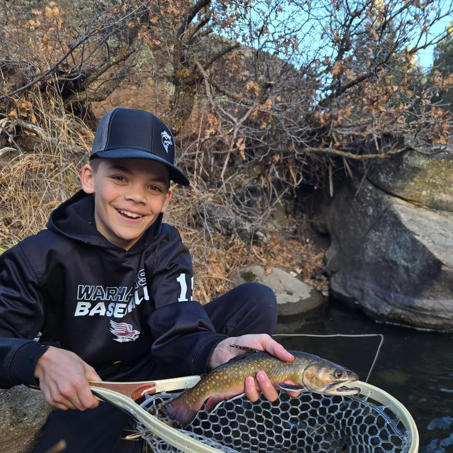 The most recent Brook trout catches on Fishbrain