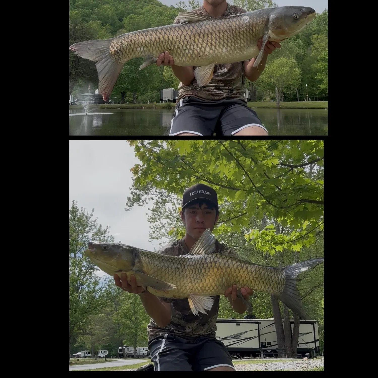 recently logged catches