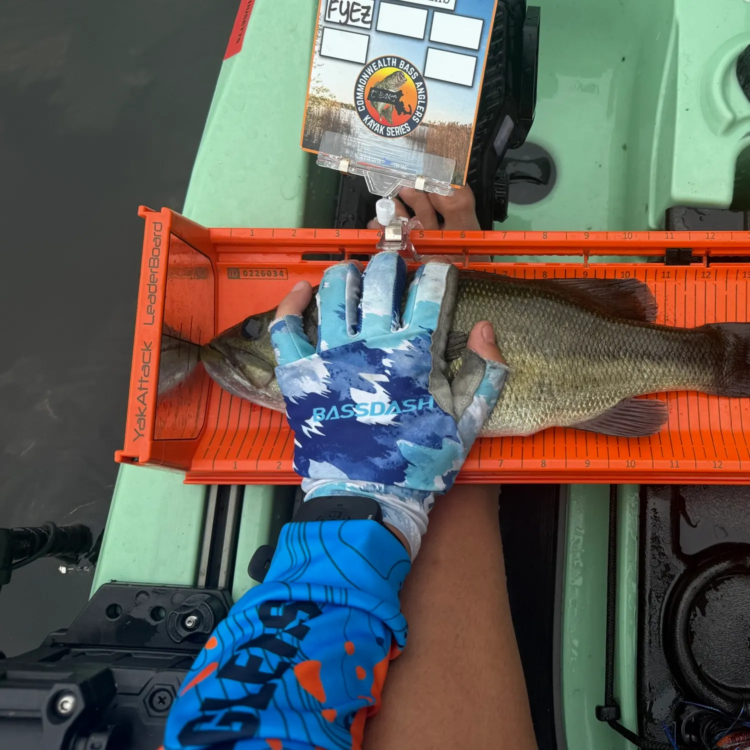 recently logged catches